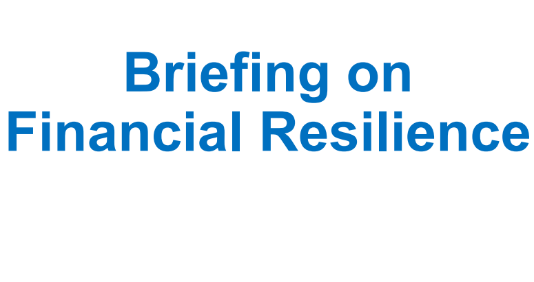 video briefing on Financial Resilience