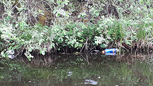 Sustainability and Climate Change position on plastic Sustainability and Climate Change position on plastic