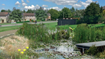 An artist's impression showing what a wildlife-friendly storm water retention basin could look like