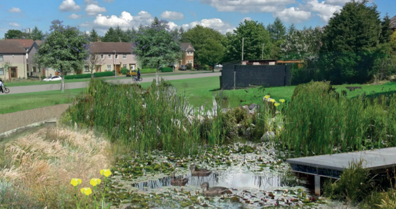 An artist's impression showing what a wildlife-friendly storm water retention basin could look like