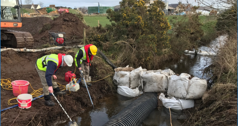 Fish rescue activity to protect the local environment during installation of the new rising main sewer in 2017