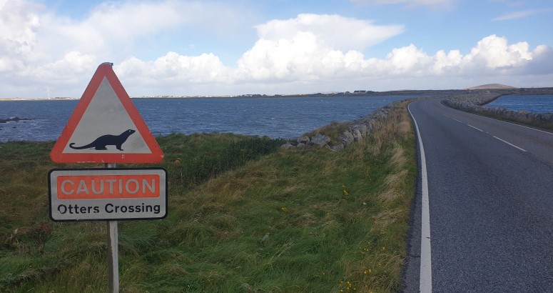 Benbecula Drone Footage A road sign warning of otters crossing next to a coastal road with a view of the sea and cloudy sky in the background.