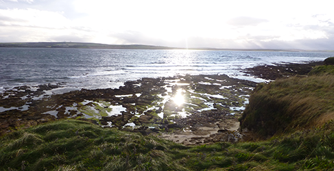 View out to sea at Dunnet