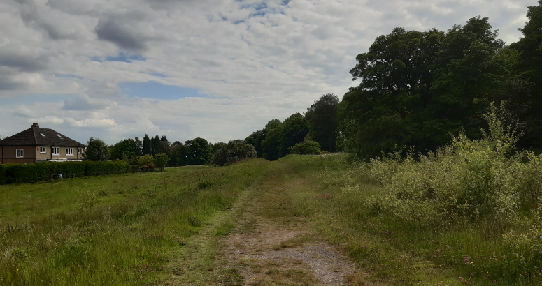 Behind Roselea Drive