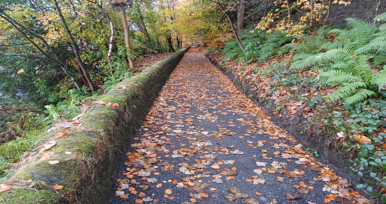Upgraded pathway at Lovers Lane