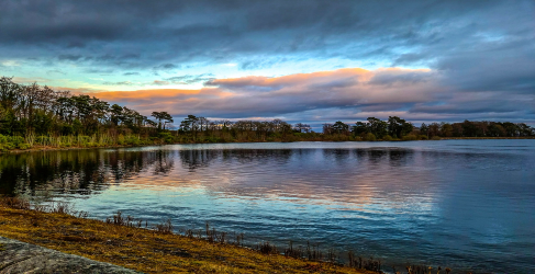 Milngavie Reservoirs
