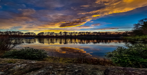 Milngavie Reservoirs