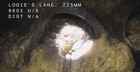 St Andrews fat in sewers