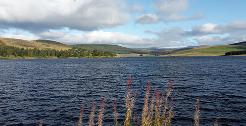 Backwater Reservoir