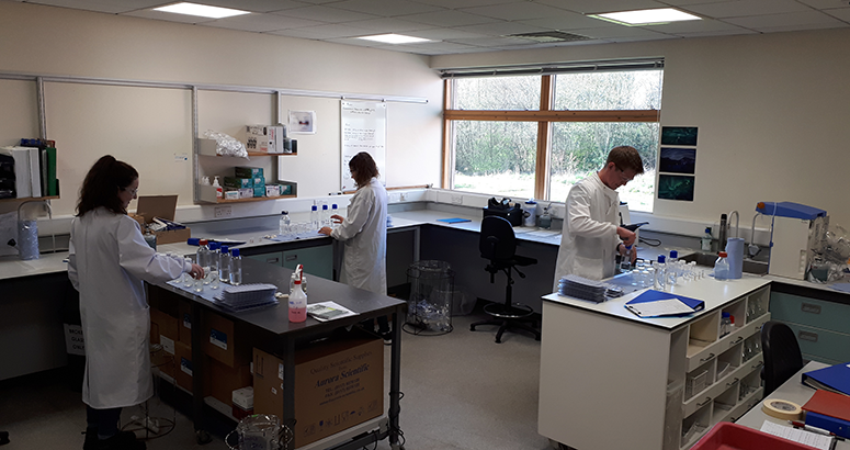 Labs