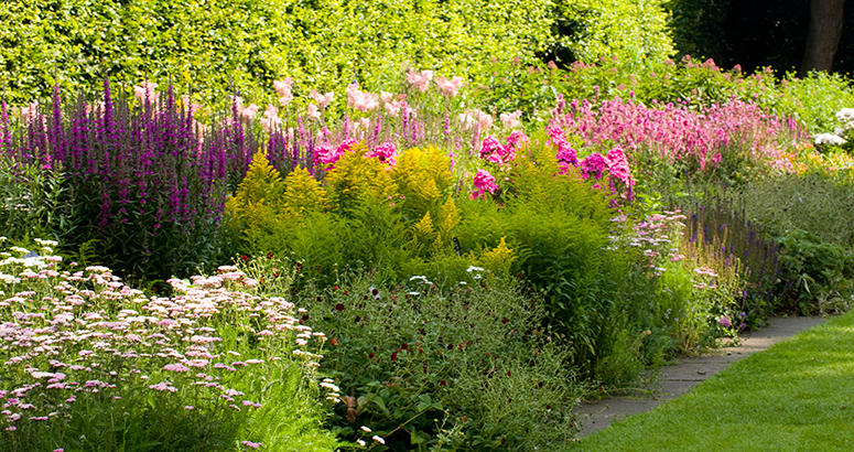 Kirsty Wilson Garden Water Saving Tips Edinburgh Botanics