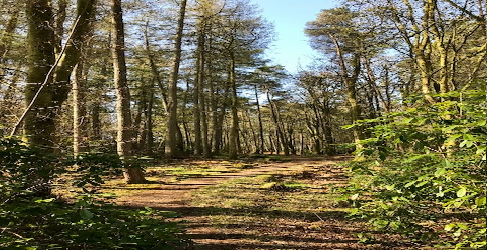 Milngavie Reservoirs