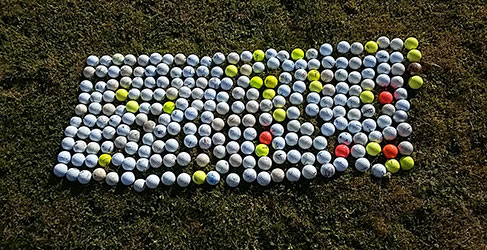Golf Balls at Gladhouse reservoir