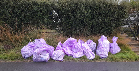 Rubbish Bags from litter pick