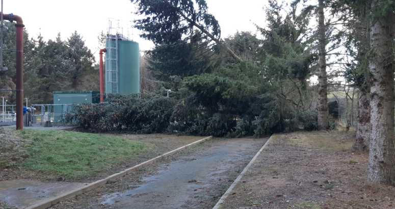 Fallen trees, blocked roads and disrupted power supplies were among the challenges faced by our local teams