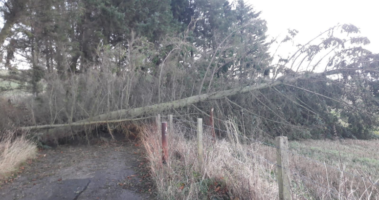 Fallen trees, blocked roads and disrupted power supplies were among the challenges faced by our local teams