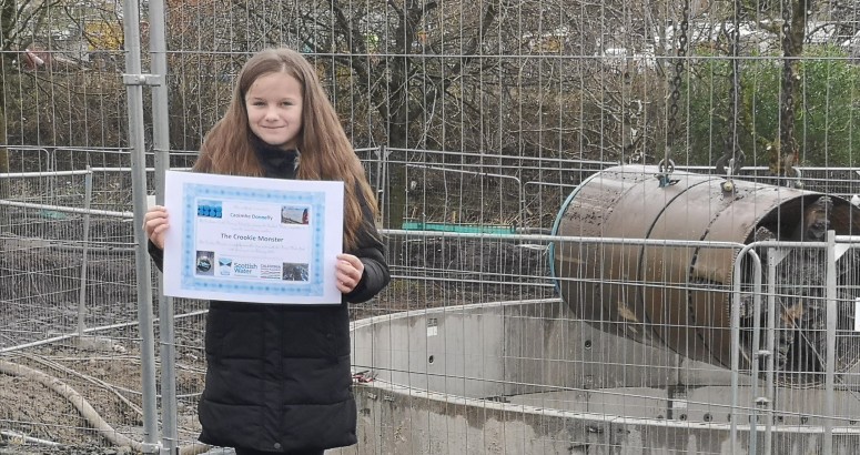 Competition Winner