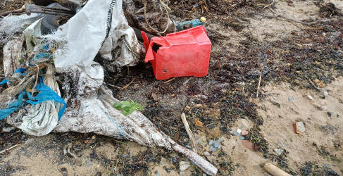Rubbish collected on Craigendoran Beach