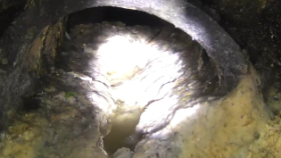 Scottish Water Sewer showing high levels of fat, oil, and grease.