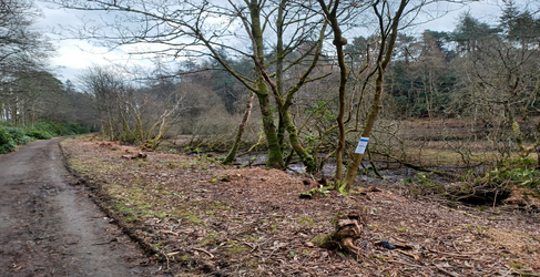 The Dirty Dam is a popular place for walkers Milngavie Dirty Dam