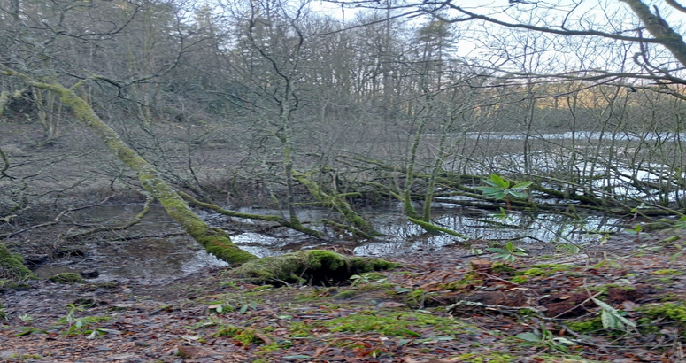 Milngavie Dirty Dam