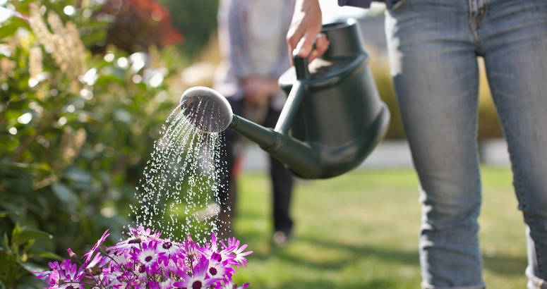 Water efficiency