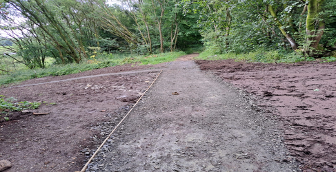 Part of the new sewer runs through woodland David Dale Avenue Sewer Upgrade