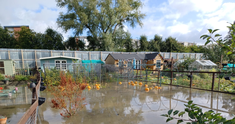 Local allotments were badly affected following a burst Kings Inch Road Sewer Upgrade