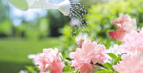 Rachel Elliot Water Efficiency Blog Rachel Elliot Water Efficiency Blog