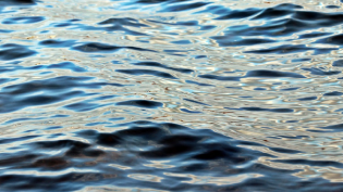 Picture of the sea