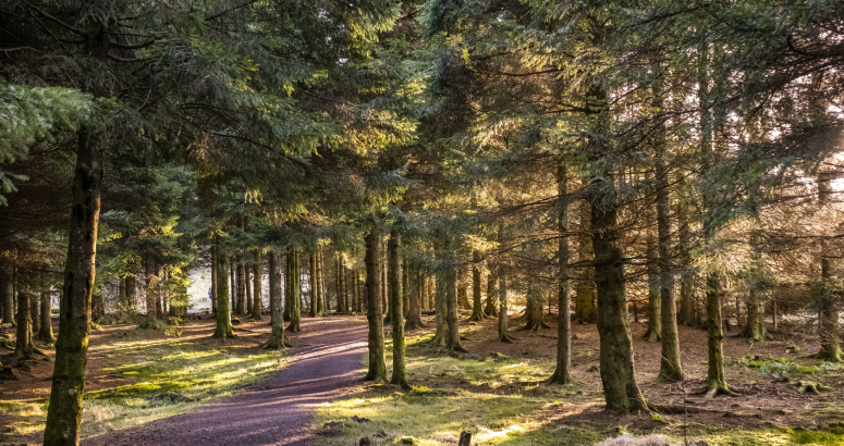 Carron Valley