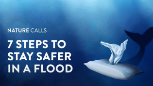 7 Steps to Stay Safe in Flood