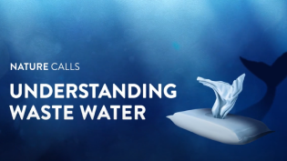 Understanding Waste Water