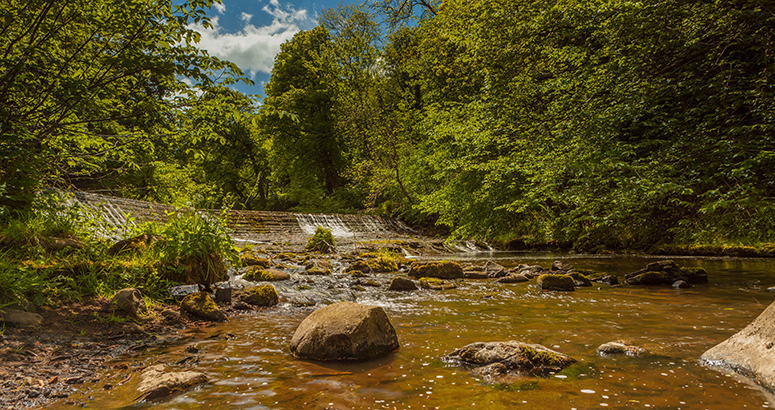 CSO related EPI a short stretch of the Water of Leith