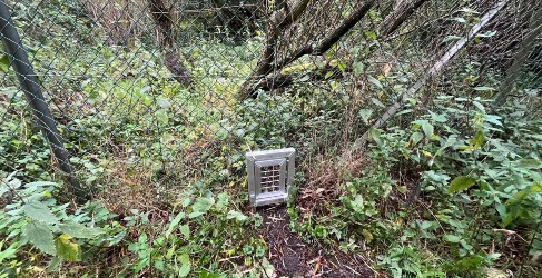 Badger Gate, Newbridge