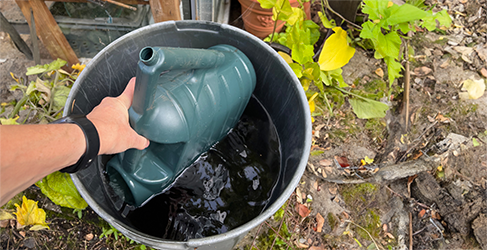 unknown person filling a watering can from a water butt in the garden