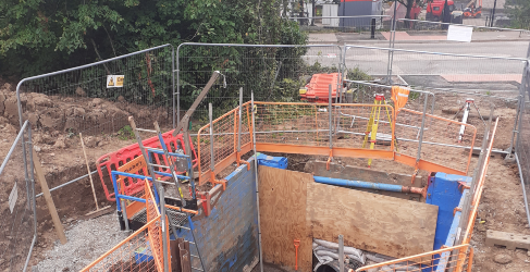 Lord Ancrum Woods IUW