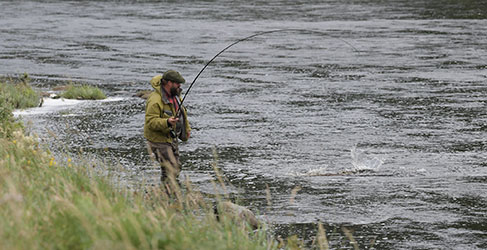 Fishing at Dalbeattie