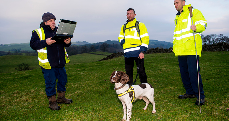 Denzel the Sniffer Dog Detects Leaks Denzel the Sniffer Dog Detects Leaks