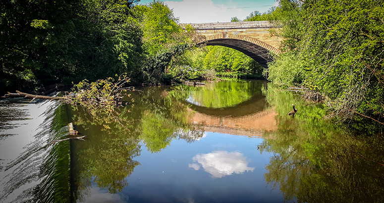 River Kelvin Improvement Project