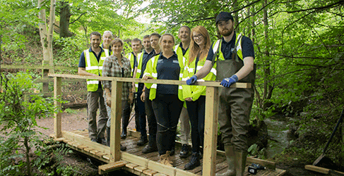 Group of Volunteers