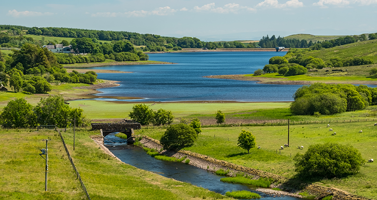 Camphill and Muirhead Reservoirs Camphill and Muirhead Reservoirs